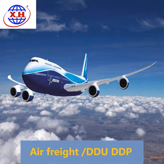Vantaggio professionale della logistica internazionale dalla Cina al mondo