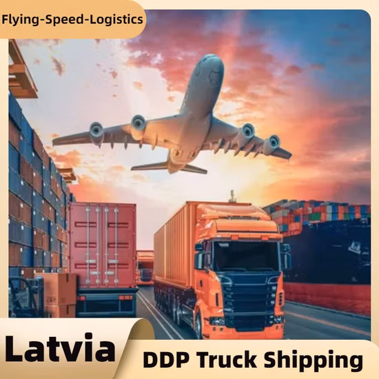 Logistica di spedizione veloce di navi dalla Cina al Giappone con 15