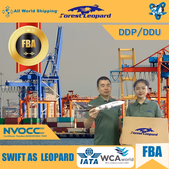 I 3 migliori spedizionieri marittimi DDP dalla Cina agli Stati Uniti / Canada Servizi logistici di spedizionieri porta a porta