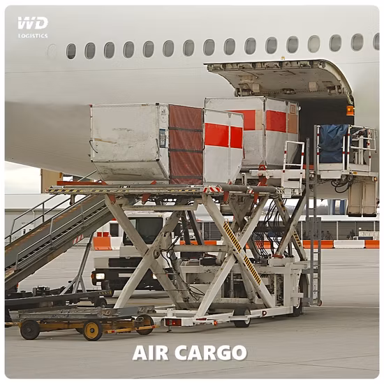 Servizio di spedizioniere di consolidamento aereo per Mosca o China Air Logistics per la Russia