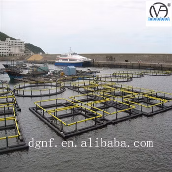 Fornitura diretta in fabbrica di supporto per gabbie per acquacoltura marina 400 di profondità