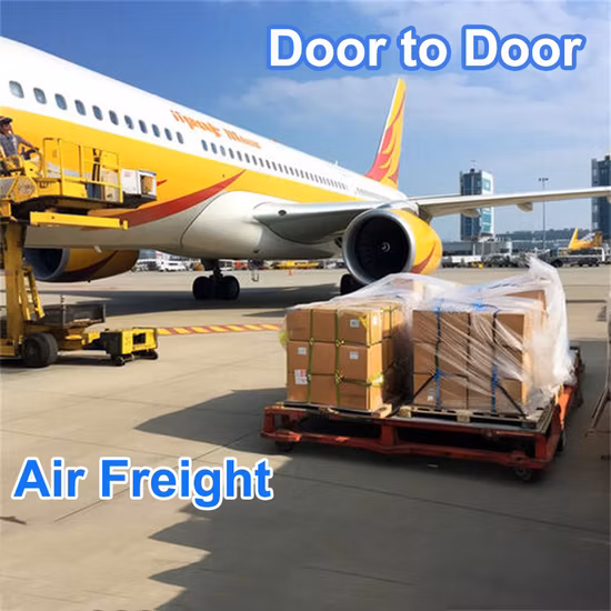 Logistica/trasporto aereo/UPS/DHL/FedEx/trasporto marittimo/dalla Cina al mondo